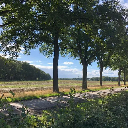 Mysa Bed & Breakfast Deurne