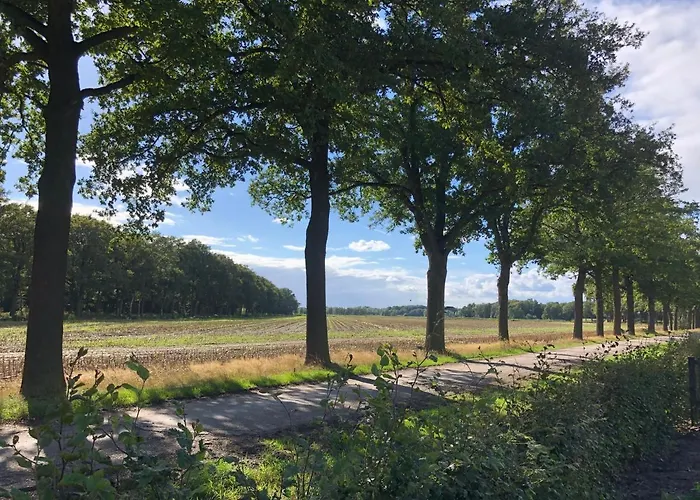 Mysa Bed & Breakfast Deurne